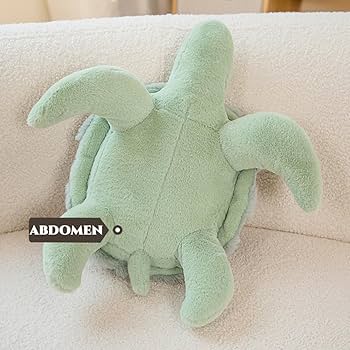 ぬいぐるみ Amazon.co.jp: DISXENT 超かわいいピンクのウミガメのぬいぐるみ